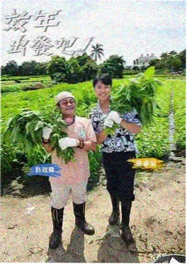 好看电影《今夜不加班》综艺海报